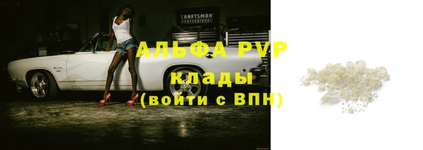 гашик Абинск