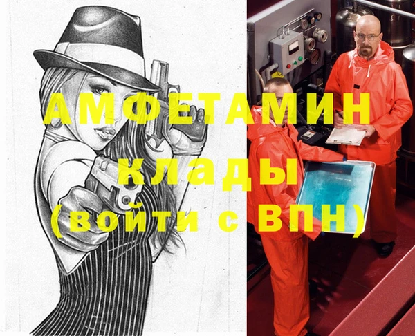 дмт Абаза