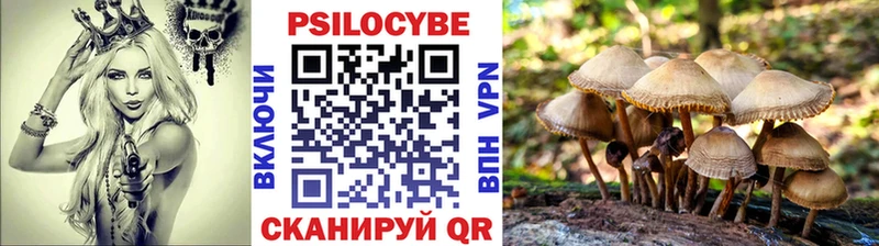 цены   Уржум  Псилоцибиновые грибы мицелий 